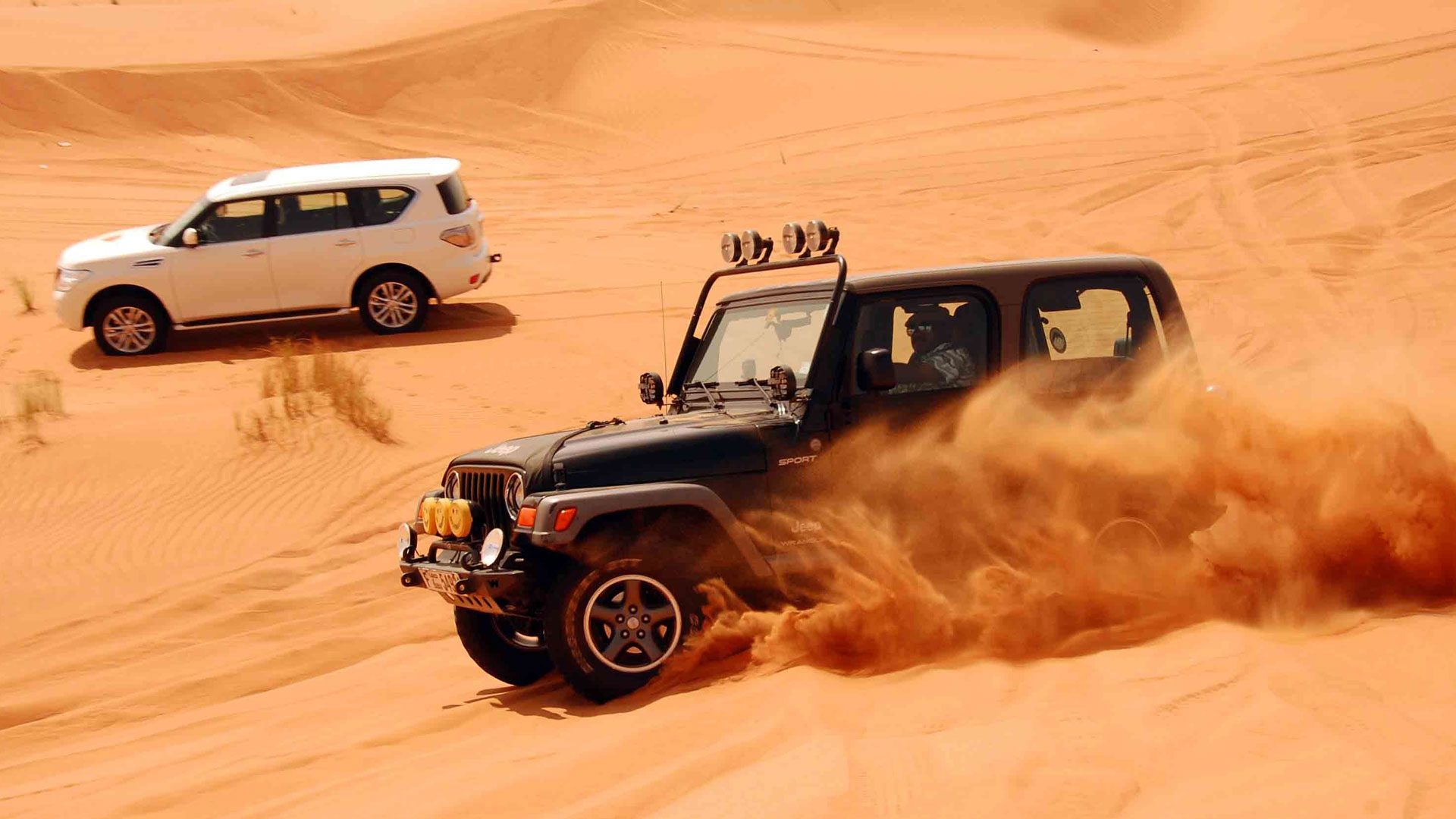 My Dune Bashing Thrills in Dubai