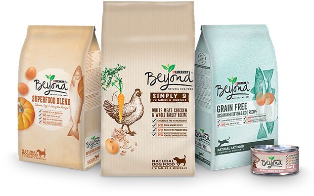 animal food, pet nutrition, dog food tips, cat feeding, healthy pet diet, pet care, pet food guide, feeding pets, pet wellness, animal care