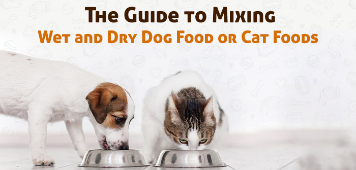 animal food, pet nutrition, dog food tips, cat feeding, healthy pet diet, pet care, pet food guide, feeding pets, pet wellness, animal care